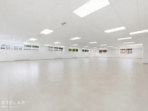 Pronájem obchodního prostoru, Opava, Rybářská, 160 m2