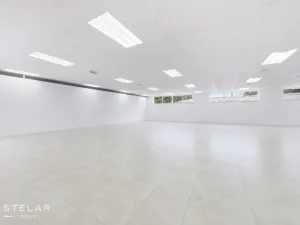 Pronájem obchodního prostoru, Opava, Rybářská, 160 m2