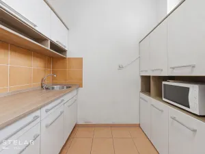 Pronájem obchodního prostoru, Opava, Rybářská, 160 m2