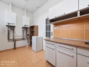 Pronájem obchodního prostoru, Opava, Rybářská, 160 m2