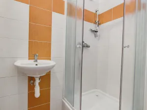 Pronájem obchodního prostoru, Opava, Rybářská, 160 m2
