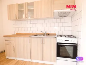 Pronájem bytu 1+1, Ostrava - Moravská Ostrava, Repinova, 40 m2