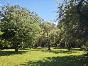 Prodej pozemku pro bydlení, Suchdol, 1100 m2