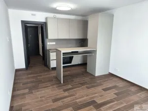 Pronájem bytu 1+kk, Olomouc - Nová Ulice, Třída Jiřího Pelikána, 33 m2