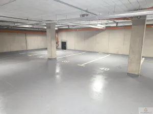 Pronájem bytu 1+kk, Olomouc - Nová Ulice, Třída Jiřího Pelikána, 33 m2