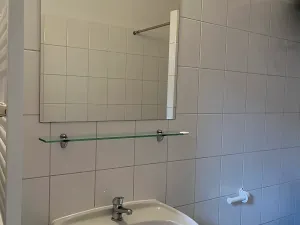 Pronájem bytu 1+1, Praha, Bělohorská, 40 m2