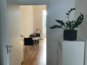 Pronájem bytu 2+kk, Praha - Smíchov, Preslova, 43 m2