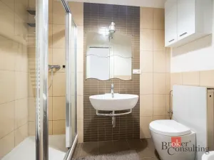 Pronájem bytu 2+kk, Praha - Smíchov, Preslova, 43 m2