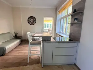 Pronájem bytu 2+kk, Karlovy Vary, Poděbradská, 61 m2