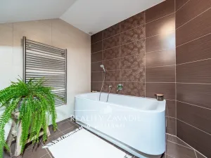 Prodej rodinného domu, Ráby, 475 m2