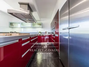 Prodej rodinného domu, Ráby, 475 m2