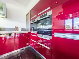Prodej rodinného domu, Ráby, 475 m2