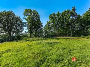 Prodej pozemku, Horšovský Týn - Plzeňské Předměstí, Plzeňská, 1256 m2