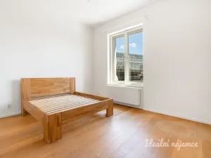 Pronájem bytu 3+kk, Praha - Nové Město, Na Moráni, 94 m2