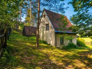 Prodej chaty, Tis u Blatna, 60 m2