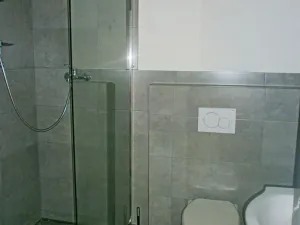 Pronájem bytu 1+kk, Olomouc, Wellnerova, 20 m2