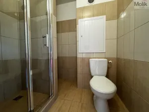 Pronájem bytu 2+kk, Most, Jaroslava Haška, 40 m2