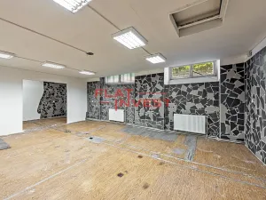 Pronájem obchodního prostoru, Praha - Vršovice, Vršovická, 233 m2