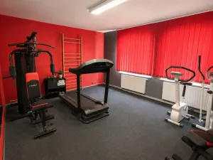Prodej rodinného domu, Chudenín, 280 m2