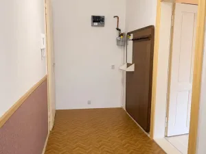 Prodej bytu 2+kk, Plzeň, Houškova, 50 m2
