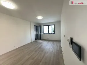 Pronájem bytu 1+kk, Břeclav, Břetislavova, 25 m2