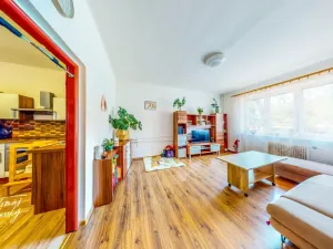 Prodej rodinného domu, Černovice, Tyršova, 168 m2