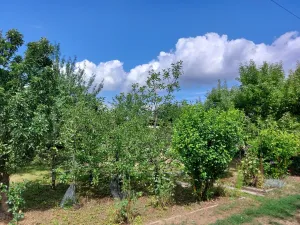 Prodej zahrady, Postřelmov, 383 m2