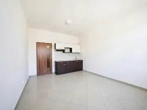 Prodej bytu 1+kk, Brno, Jugoslávská, 29 m2