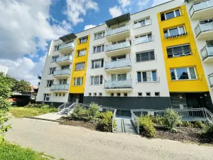 Pronájem bytu 1+1, Písek - Budějovické Předměstí, 17. listopadu, 40 m2