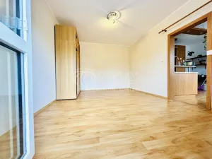 Pronájem bytu 1+1, Písek - Budějovické Předměstí, 17. listopadu, 40 m2