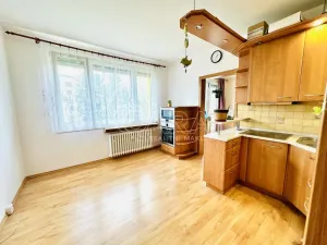 Pronájem bytu 1+1, Písek - Budějovické Předměstí, 17. listopadu, 40 m2