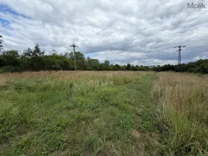 Prodej pozemku pro bydlení, Lom, Palackého, 2632 m2