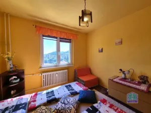 Prodej bytu 2+1, Karlovy Vary, Západní, 53 m2