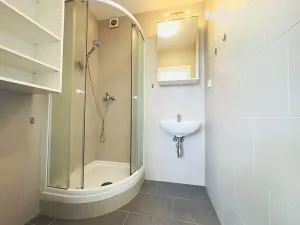 Pronájem bytu 1+1, České Budějovice, K. Šafáře, 43 m2