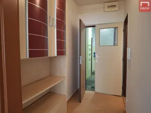 Pronájem bytu 1+kk, Olomouc - Lazce, Synkova, 34 m2