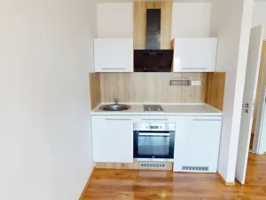Pronájem bytu 1+kk, Ostrava - Výškovice, Lumírova, 28 m2