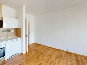 Pronájem bytu 1+kk, Ostrava - Výškovice, Lumírova, 28 m2
