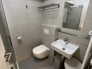 Pronájem bytu 1+kk, Zlín - Malenovice, Hřebíčkova, 38 m2