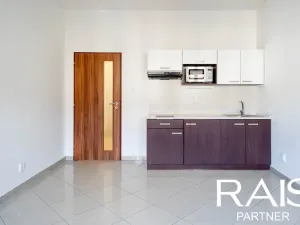 Prodej bytu 1+kk, Brno - Husovice, 30 m2