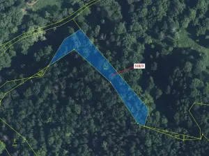 Dražba lesa, Malé Březno, 2232 m2