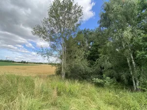Prodej pozemku, Olbramice, 225 m2