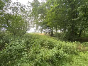 Prodej pozemku, Olbramice, 225 m2