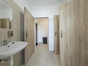 Pronájem bytu, Brno - Zábrdovice, Cejl, 16 m2