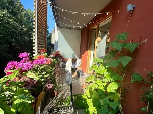 Pronájem bytu 2+kk, Praha - Žižkov, Jeseniova, 55 m2