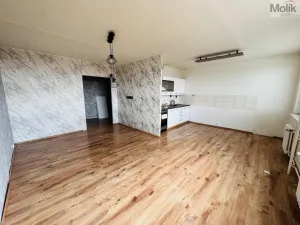 Pronájem bytu 3+1, Most, Česká, 62 m2