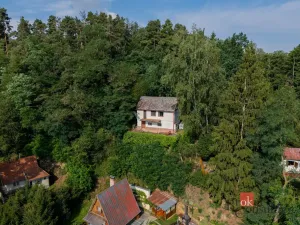 Prodej chaty, Týn nad Vltavou - Hněvkovice na levém břehu Vltavy, 80 m2