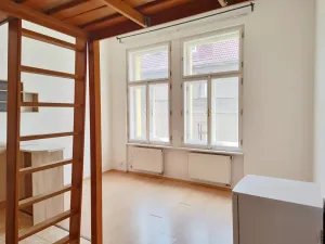 Pronájem bytu 1+kk, České Budějovice, Riegrova, 25 m2