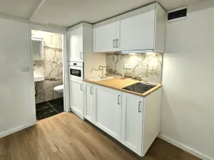 Pronájem bytu 1+kk, Praha, Nad Kajetánkou, 16 m2