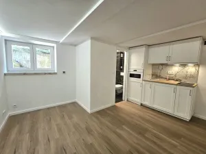 Pronájem bytu 1+kk, Praha, Nad Kajetánkou, 16 m2