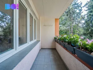 Prodej bytu 2+1, Orlová, Květinová, 53 m2